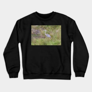 A lone Great Blue Heron Crewneck Sweatshirt